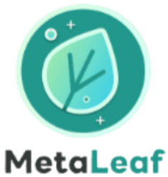 meeta_logo